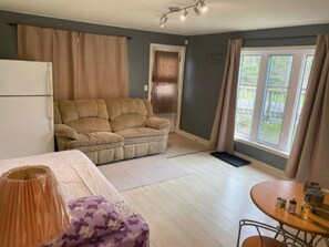 Smart TV, fireplace, books, video library