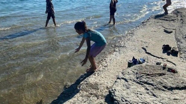 A beach with clear water, rocky shore, and people enjoying the water. - The Little Jurassic Lake House.<br>keep in mind sometime Satellite TV Doesn’t work. (Carrying Place)