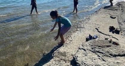 The Little Jurassic Lake House.<br>keep in mind sometime Satellite TV Doesn’t work.