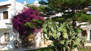 A white building with a garden, a cactus, and a purple flowering plant.