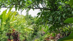 A stone pathway leading through a lush garden with various plants and a small water feature. - Villa Chempaka (Ubud)