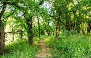 Miscellaneous - Cabin on secluded wildlife ranch. Hot tub. Dark skies. 1/2 mile river frontage. (Lometa)