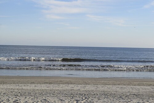 Lori's Landing Pet Friendly & Close to the Beach!