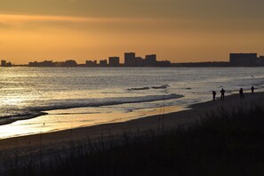 Playa en los alrededores 