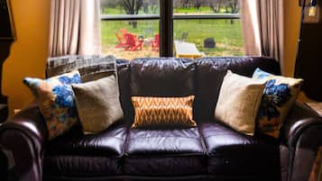 Una Smart TV, una chimenea, un reproductor de DVD, libros