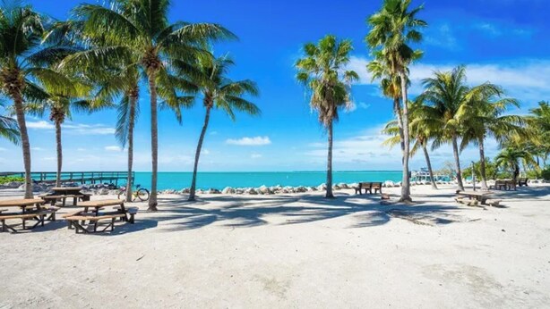 Una spiaggia con palme, tavoli da picnic e un cielo azzurro limpido.