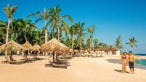 A beach with sun loungers and thatched umbrellas, palm trees, and a clear blue sky. - Hyatt Zilara Rose Hall - Adults Only (Montego Bay)