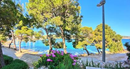 Apartmani Ruzmarin