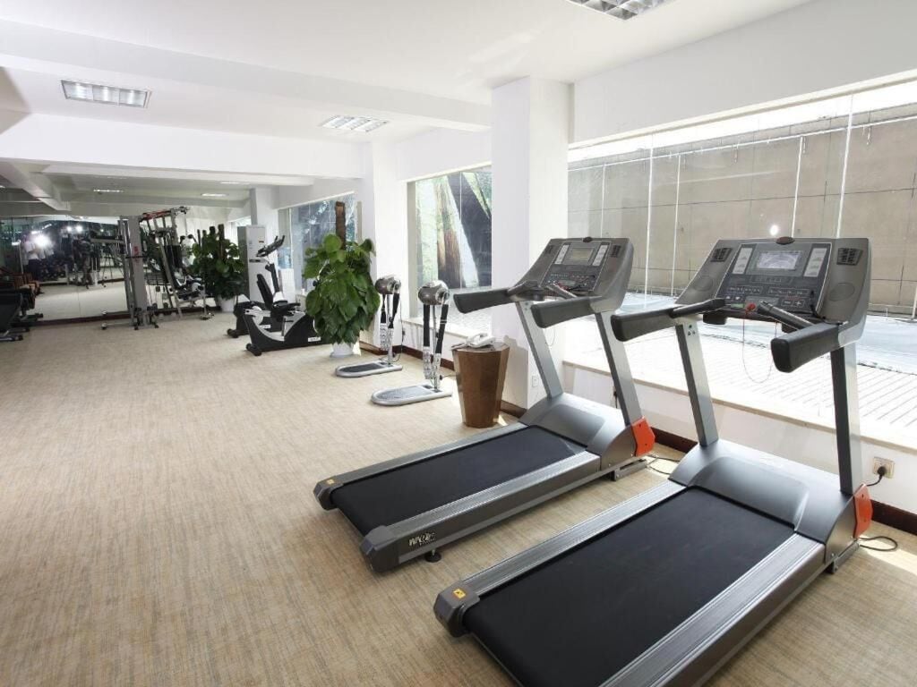 A gym with treadmills, exercise equipment, and large windows.