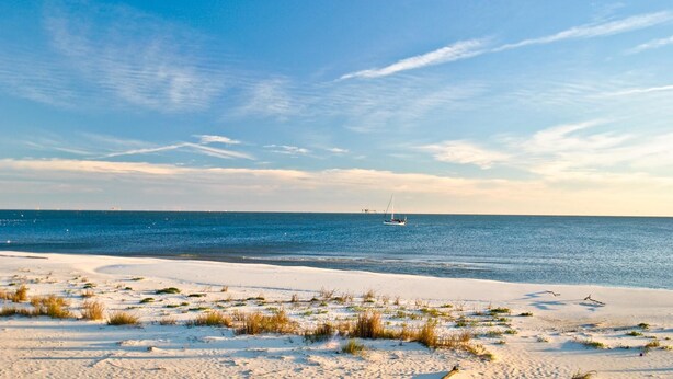 A beach with white sand, sparse grass, and a sailboat in the distance.