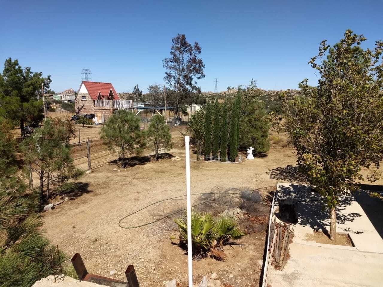 Peace Family Friendly