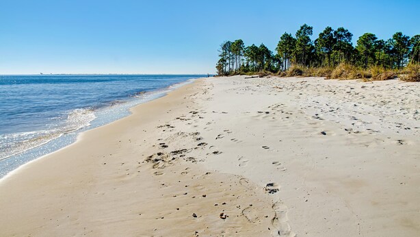Ein sandiger Strand mit Fußabdrücken und einem klaren, blauen Himmel.