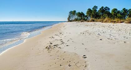 Bikinis & Martinis - Surf Club B12