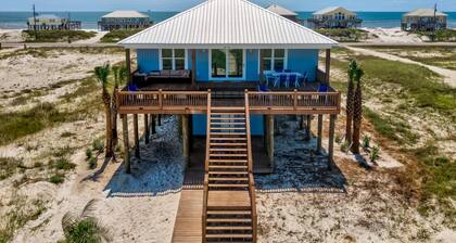 The Blue Crab - 2432 Bienville