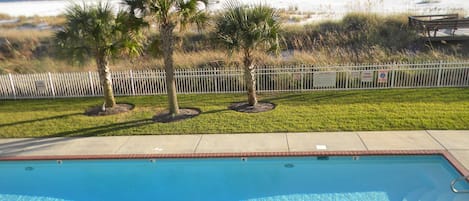 Une piscine avec vue sur la plage et l’océan.