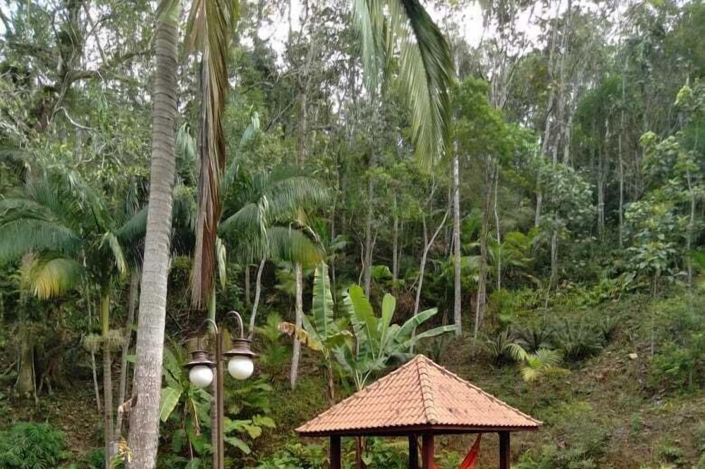 Near Paradise - Sitio Canto das Águas - Exclusive