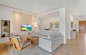 Télévision, cheminée, chaîne hi-fi