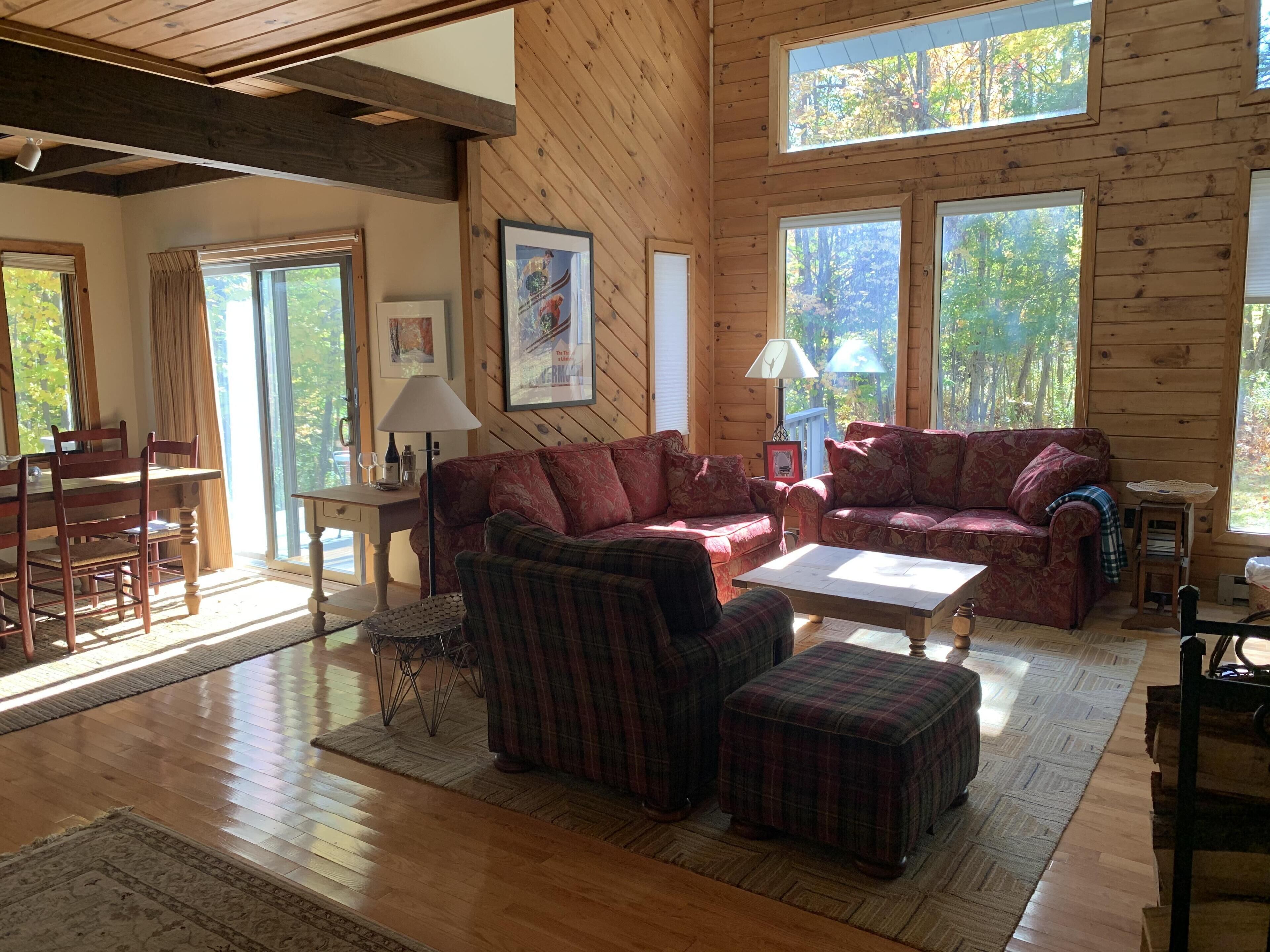 Una televisi ón, una chimenea