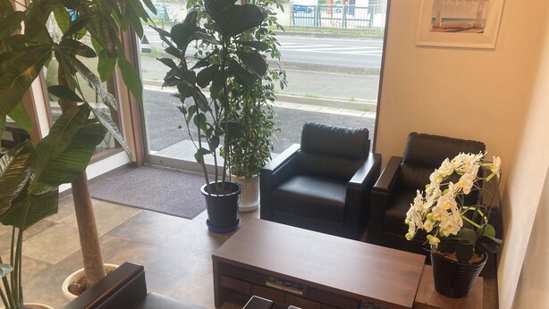 Un espace d’accueil comprenant un canapé, des fauteuils, un bureau et des plantes en pot.