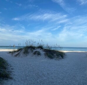 بالقرب من الشاطئ