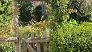 A wooden gate in a garden with dense foliage and a small structure in the background.