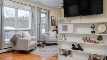 Smart TV, fireplace, books