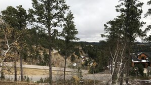 A residential area with a stone fire pit, surrounded by trees and a view of a house with a garage. - 7 Bedroom Spacious Lead Home with Game Room and Hot Tub (Lead)