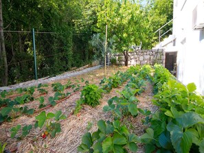 Garden - Villa Gardens (Crikvenica)