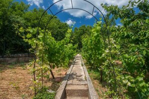 Garden - Villa Gardens (Crikvenica)