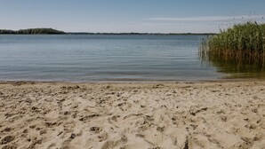 Une plage de sable fin, avec une eau calme et des roseaux.