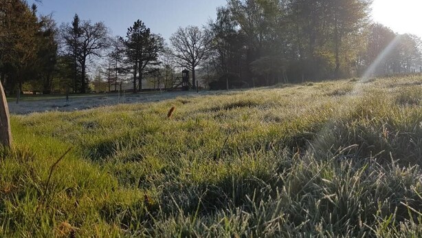 A grassy field with trees and a clear sky. - House 2 Bedrooms 6 persons ( 2 ) (Malmedy)