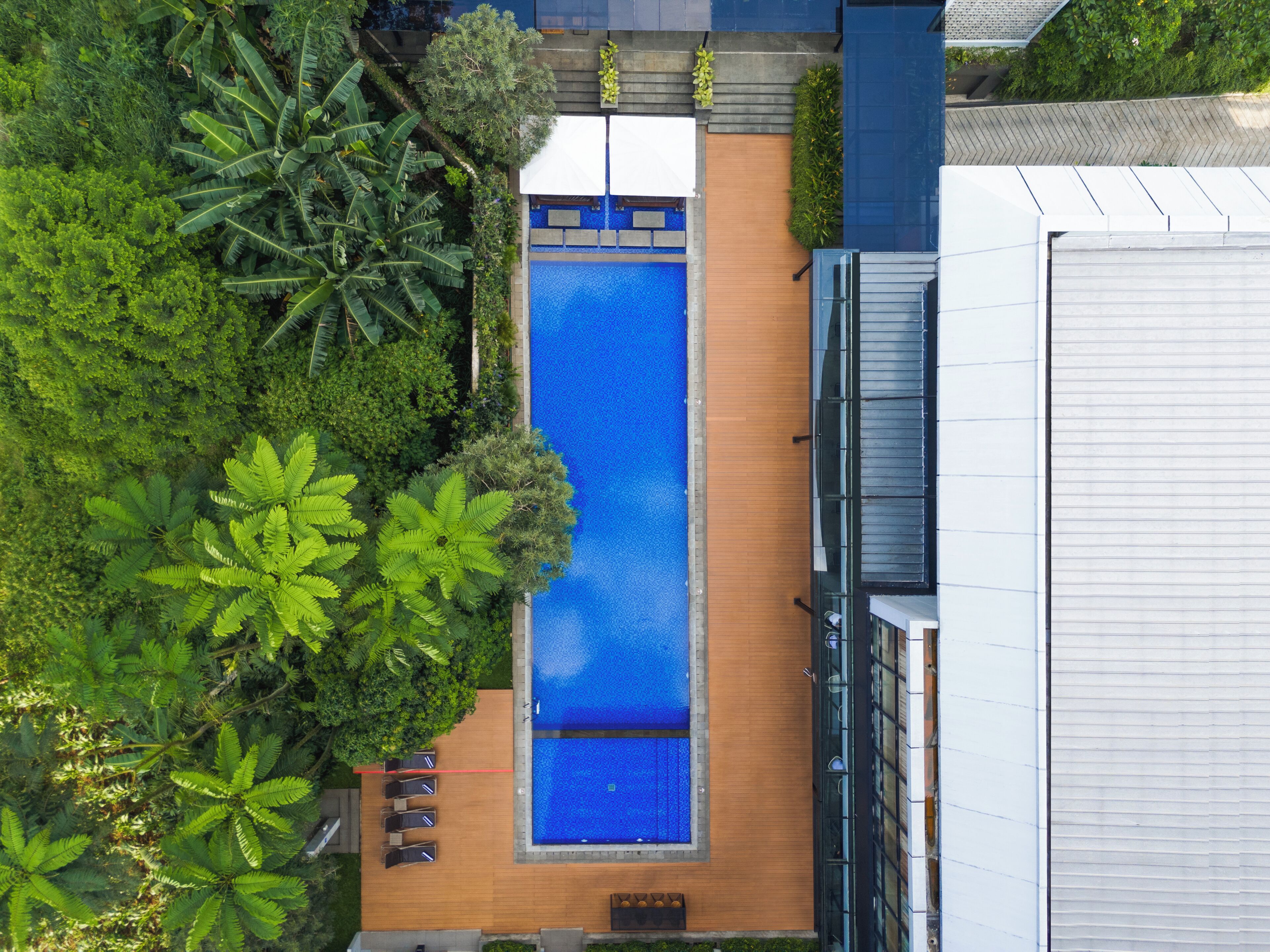 Vista aérea de un hotel moderno con una piscina rectangular rodeada de exuberante vegetación y una terraza de madera.