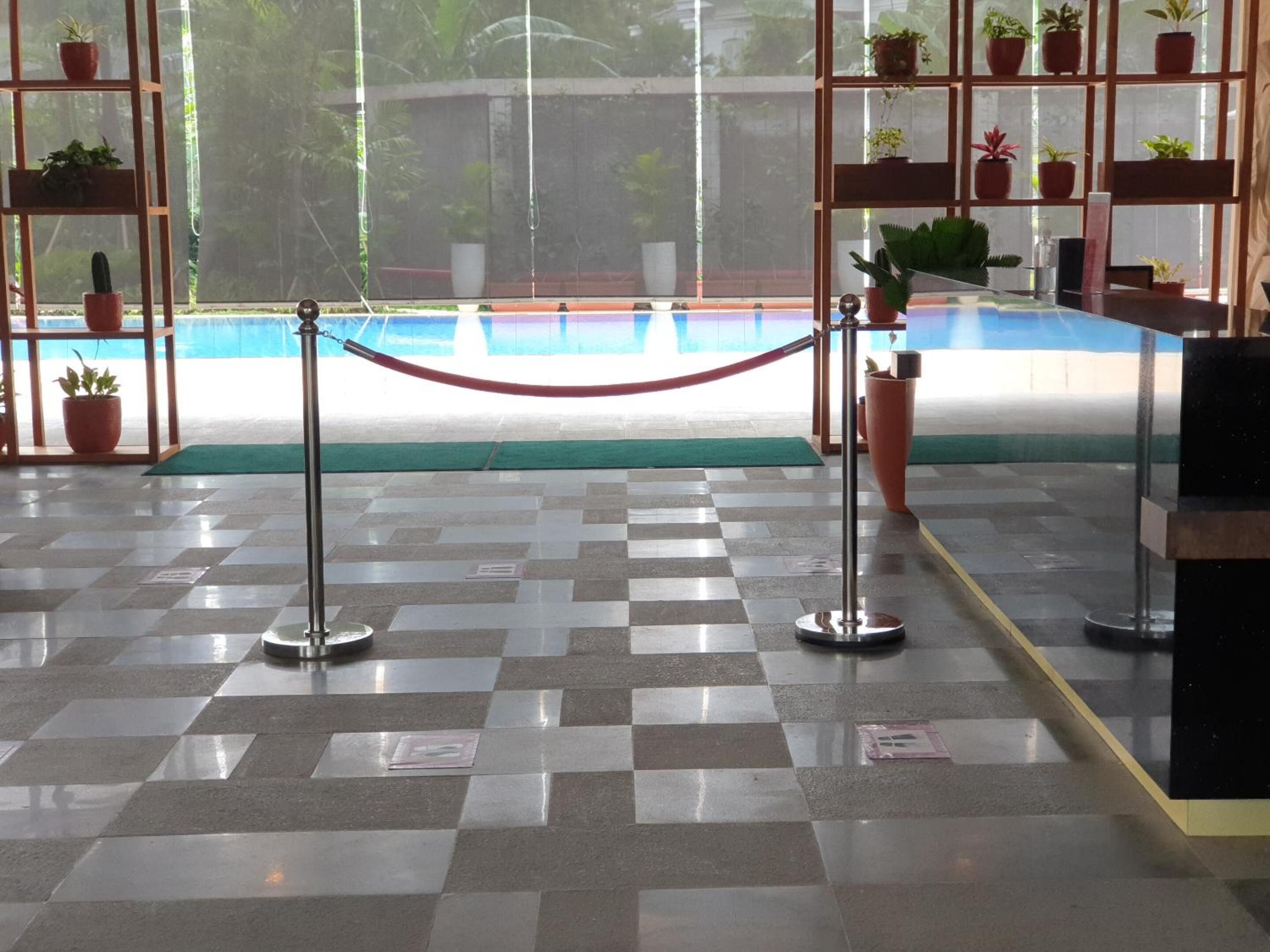 A checkered floor with a red rope barrier, potted plants on shelves, and a view of a pool through large windows.