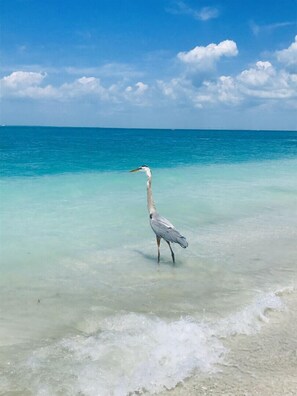 ビーチの近く、ビーチタオル