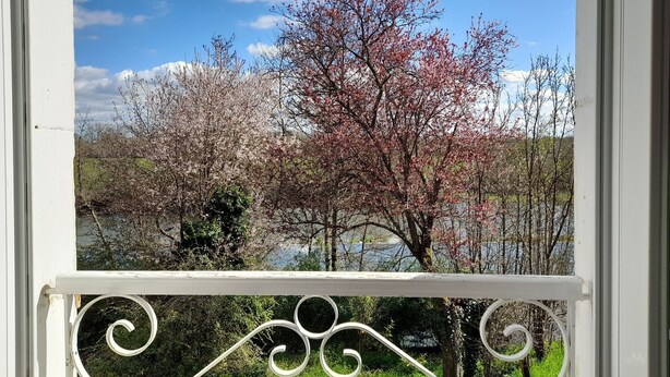 A window with a white frame and decorative metalwork, overlooking a landscape with trees and a body of water.