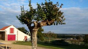 Un arbre avec une échelle, un chemin de gravier, une grange rouge et un champ vert.