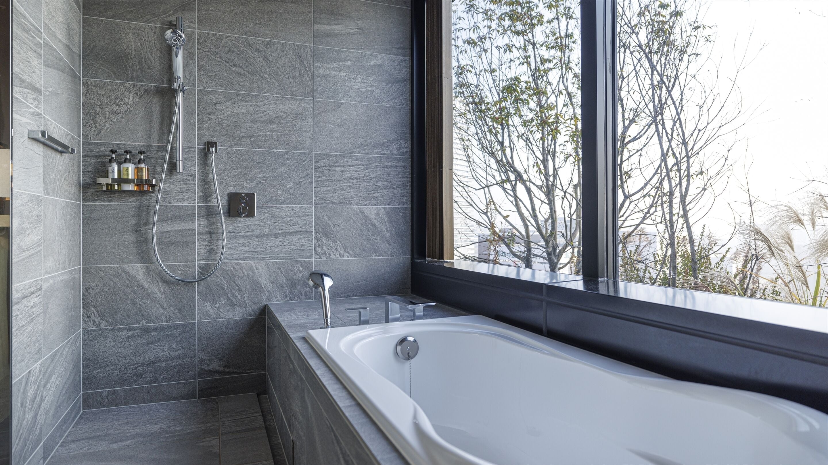 free toiletries, hair dryer, slippers, electronic bidet