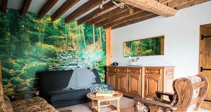 Gßte de charme rénové avec cheminée, terrasse et proche randonnées - Capacité 13 pers.