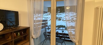Newly renovated vacation apartment directly on the Feldberg at the ski lift