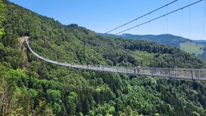 Eine Hängebrücke in bewaldeter Landschaft unter blauem Himmel.
