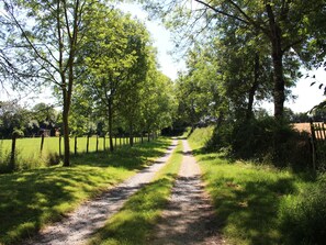 A rural dirt path flanked by trees and grass, leading to a structure in the distance.