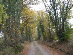 Property grounds - Charming Cottage: Fireplace, Wifi, Bikes, Garden & Garage in Lush Countryside (Berfay)