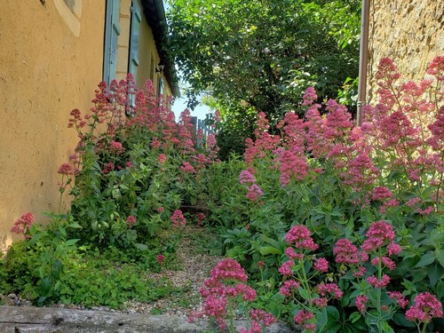 Charming 19th Century Cottage with Large Garden and River Access, Near Medieval Village
