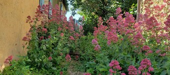 Charming 19th Century Cottage with Large Garden and River Access, Near Medieval Village