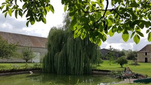 Un étang paisible, bordé d’une végétation luxuriante et ombragé par un saule pleureur.