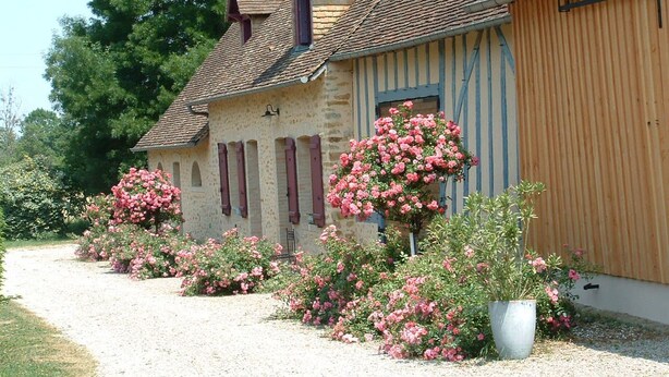 Ein traditionelles Steinhaus mit einem Holzanbau, umgeben von blühenden Büschen und einem Kiesweg.