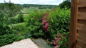 Uitzicht op een tuin met een terras en weelderige beplanting.