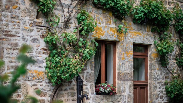 A stone building with ivy-covered walls, a window with a flower box, and a door.