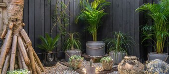 Black Beauty Studio - Bangalow Secluded Heaven