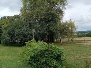 A large tree in a grassy field with a swing set and a wooden fence in the background.